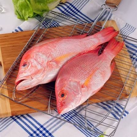 Fresh Fish
